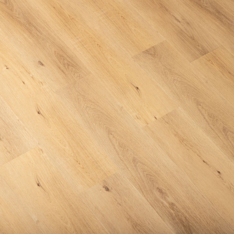 250604 UF Native Golden Oak.
