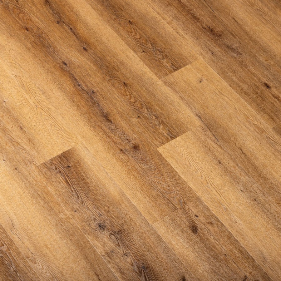 250604 UF Native Tawney