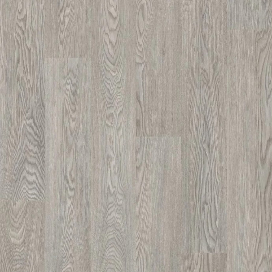 3104 Oslo Oak