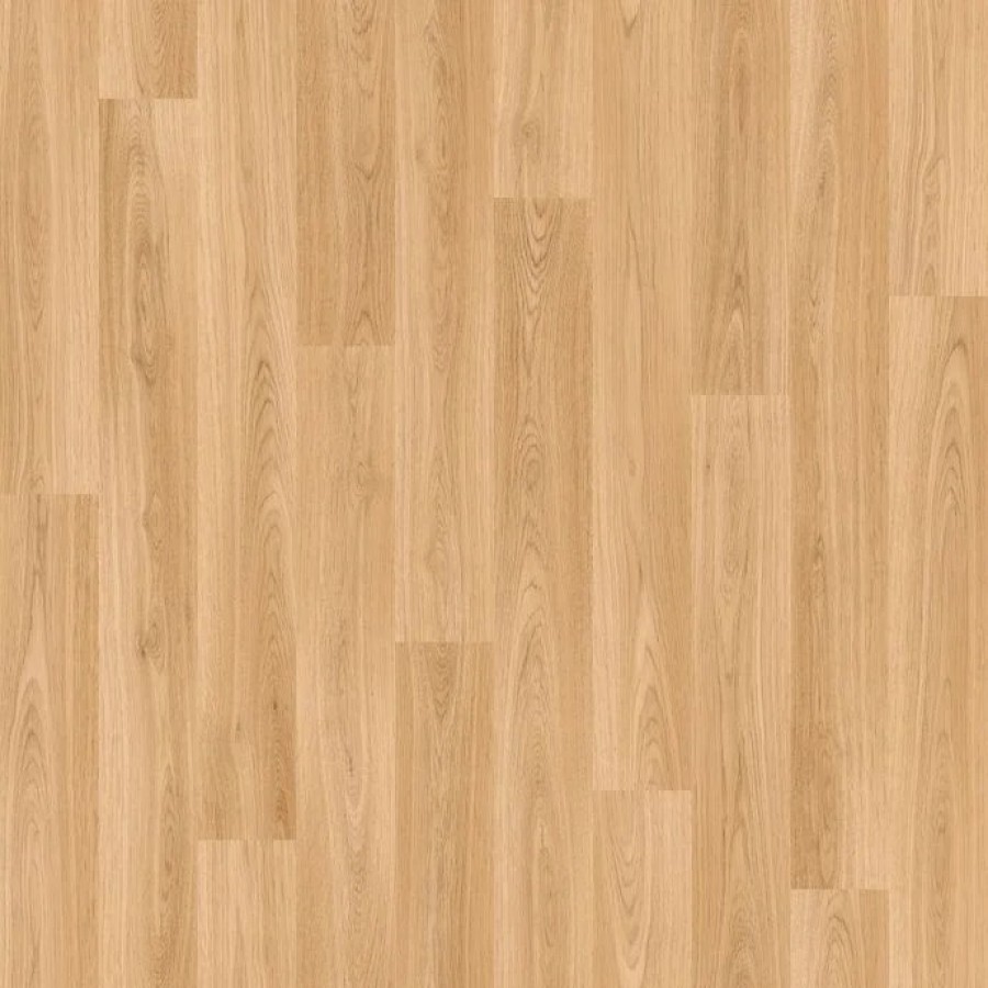3380 American Oak
