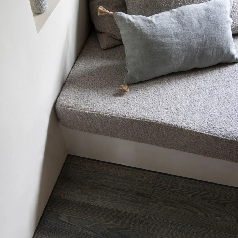 86972 Swan Plank Summary Image Plank web  ScaleMaxWidthWzEwMDBd