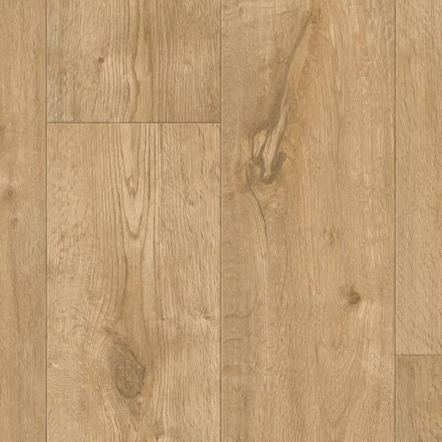 ANNAPURNA X54 ScaleMaxWidthWzEwMDBd