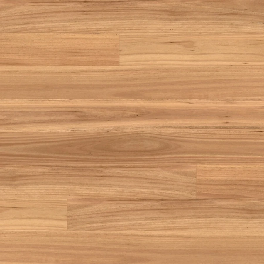 Australian Native Blackbutt SWATCH