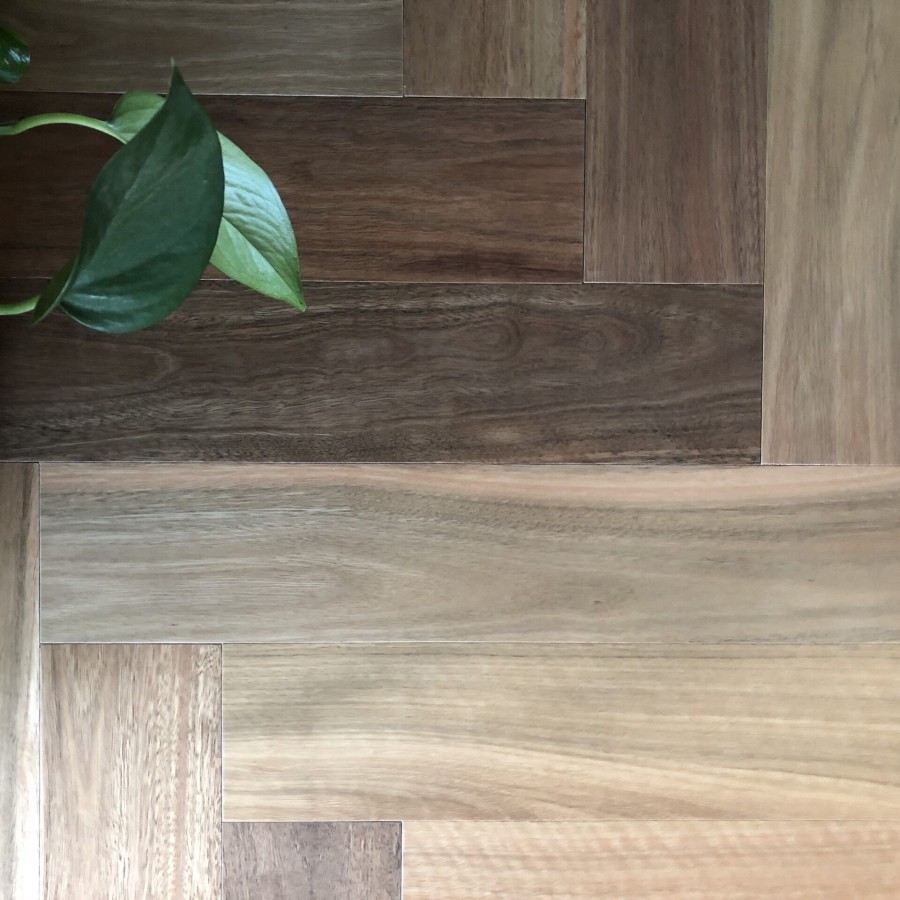 Australian Native Herringbone Spotted Gum 1 2