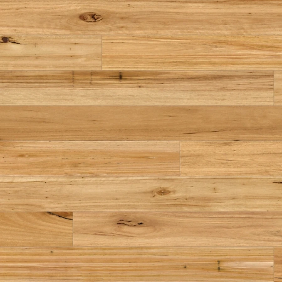 Australian Native Website Blackbutt Rustic SWATCH