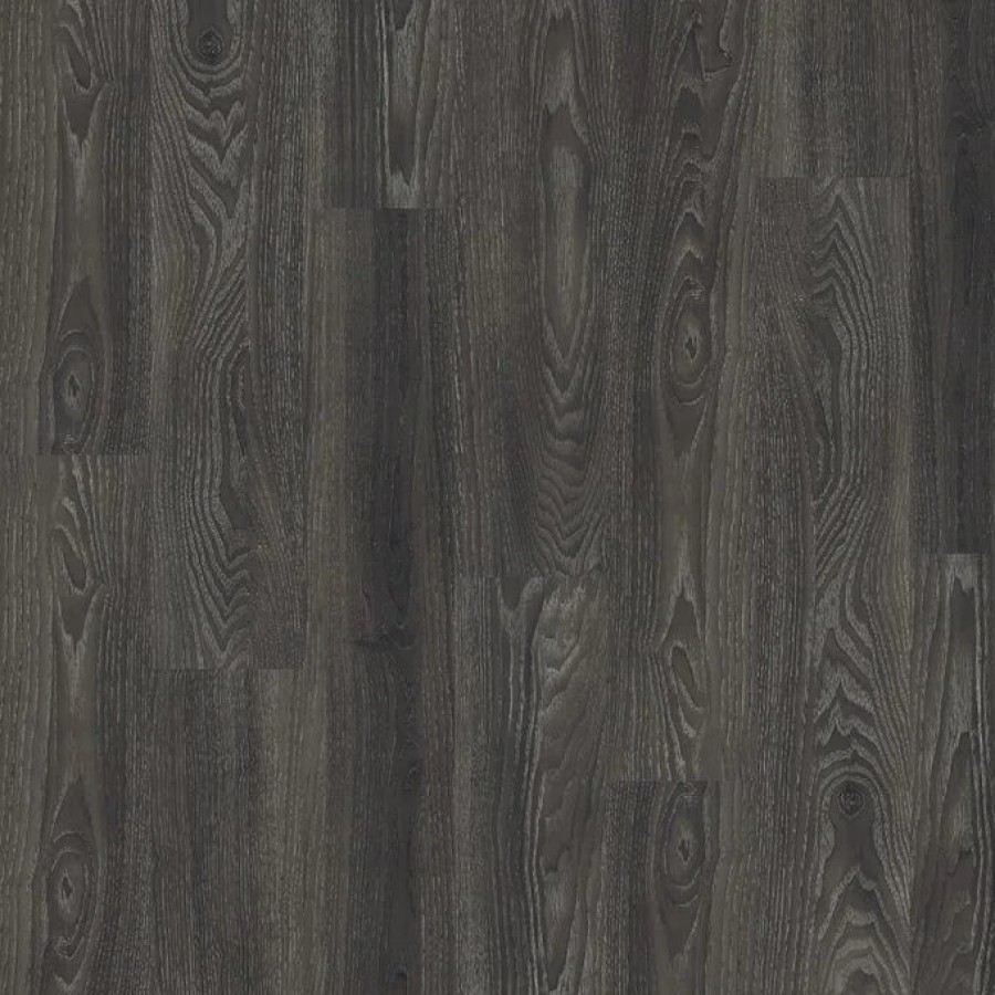 Black Elm 1x1m