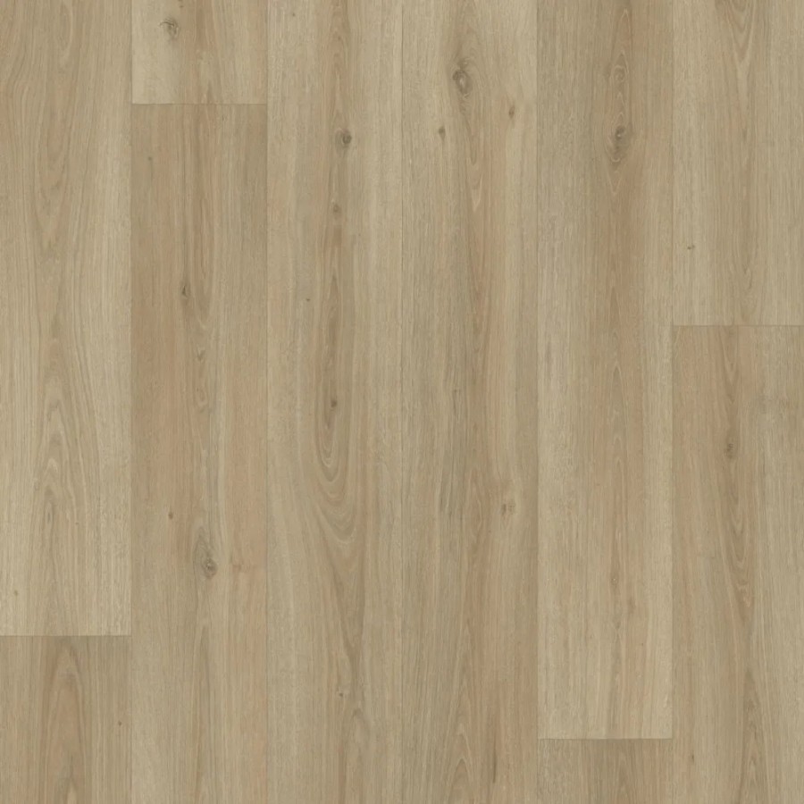 Bur Oak Bronze