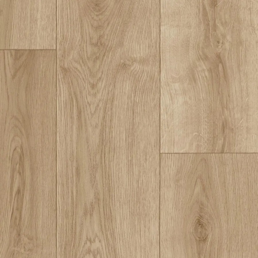 Cherbourg Oak 534