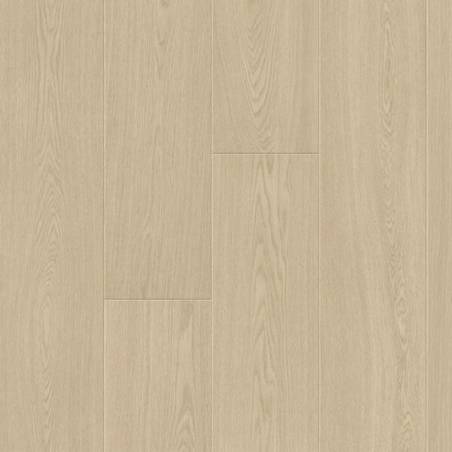 Clay Oak