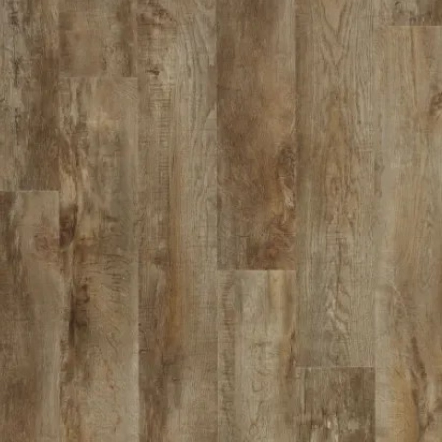 Cuckoo 54852 Plank web  ScaleMaxWidthWzEwMDBd