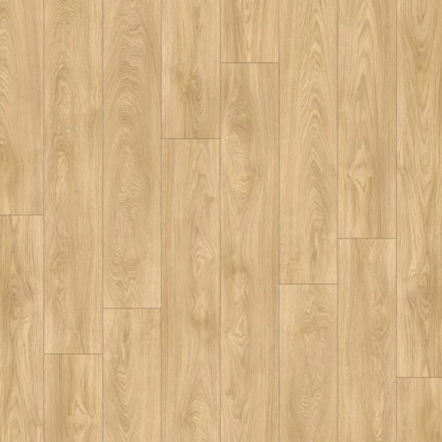 Dotterel 51332 Plank web  ScaleMaxWidthWzEwMDBd