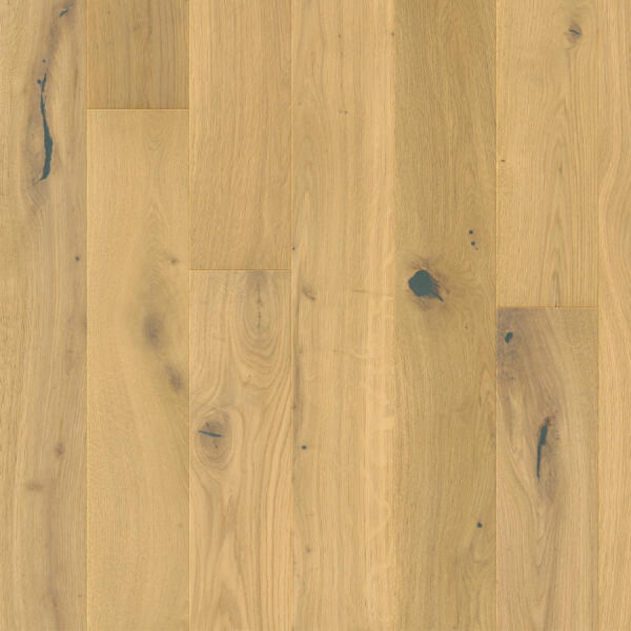 Dune oak