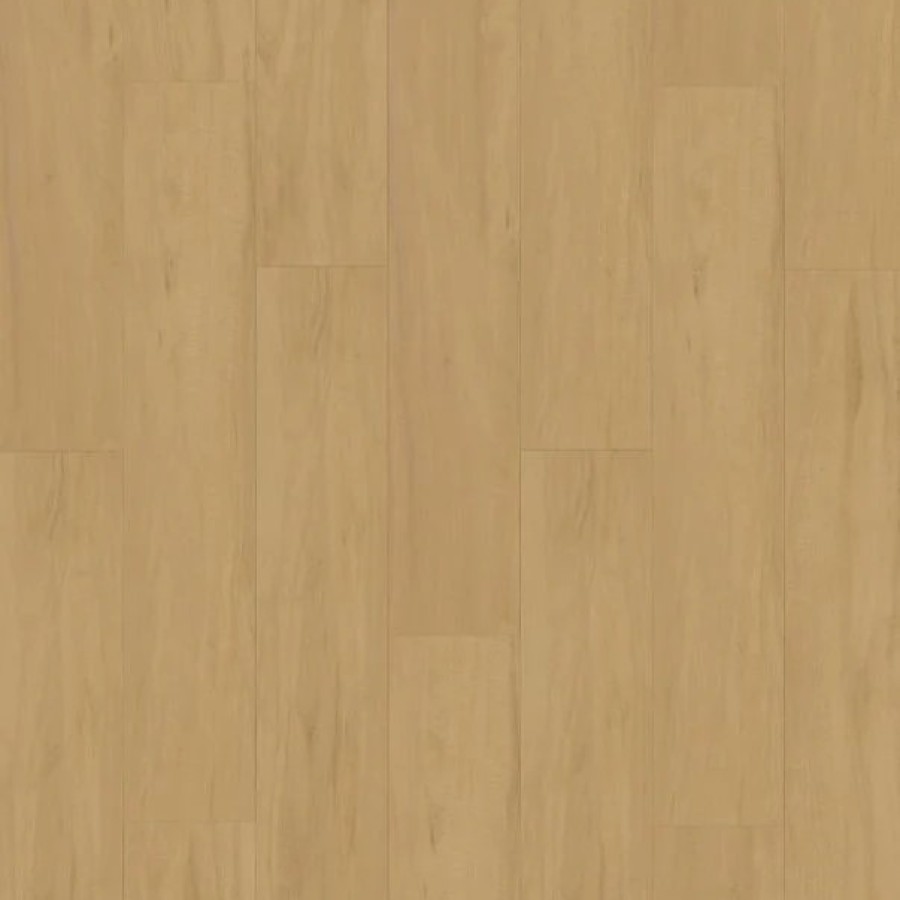 FRANKLINTASSIEOAKSWATCH fc1c6cda 5fab 475d b9ae 9a3176721f4c 1000x