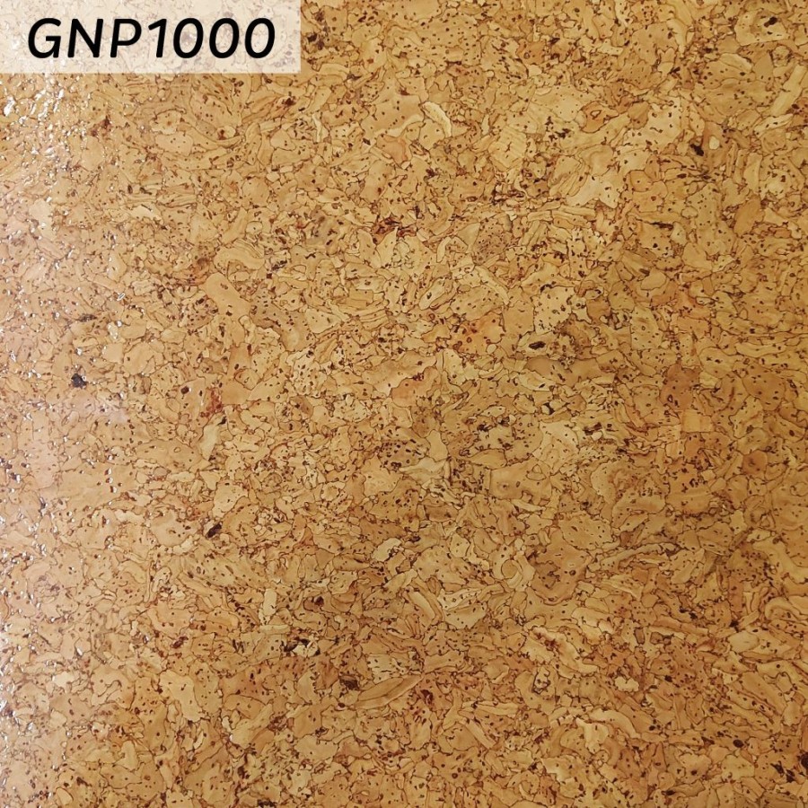 GNP1000 GNP100 1024x1024 1