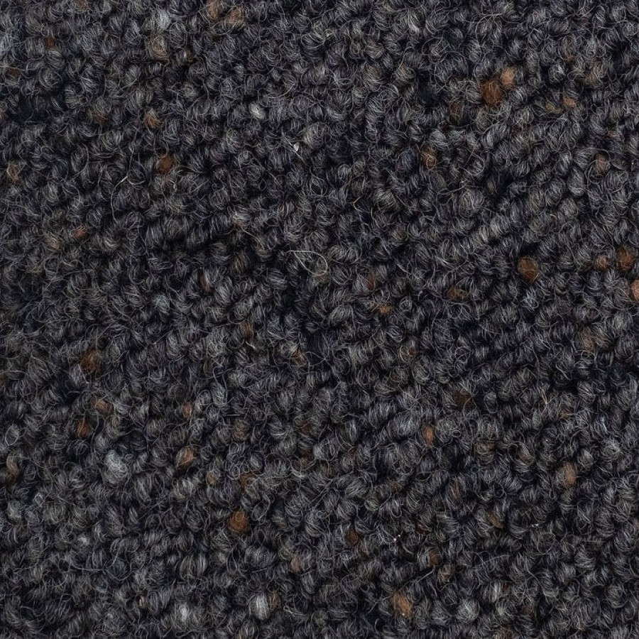 GodfreyHirst LambtonQuay Mollusc Sample