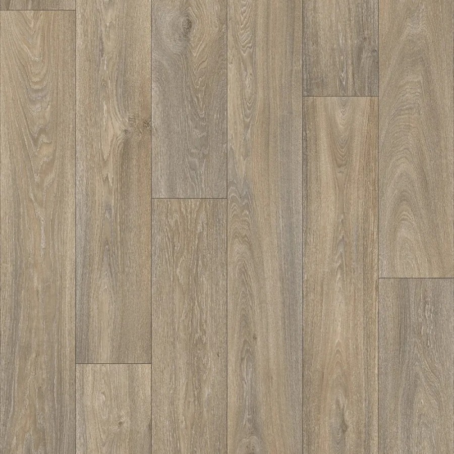 Havanna Oak 613M v2  ScaleMaxWidthWzEwMDBd