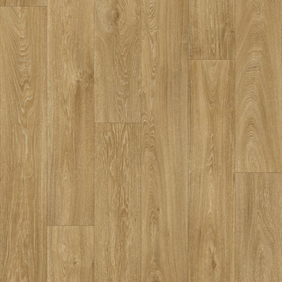 Havanna Oak 662M ScaleMaxWidthWzEwMDBd v2