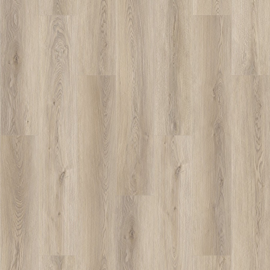 LAM.QUE12.120 MOUNTEDEN MY190003XL 5 1215x195 f43debe7 1a69 4b3f 90a6 12db42080af9 2048x crop center