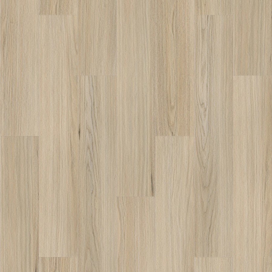 LAM.QUE12.155 NEWTOWN MY190039XL 2 1215x195 c7bdeb56 b155 48d0 a5b9 23dfad2923aa 2048x crop center