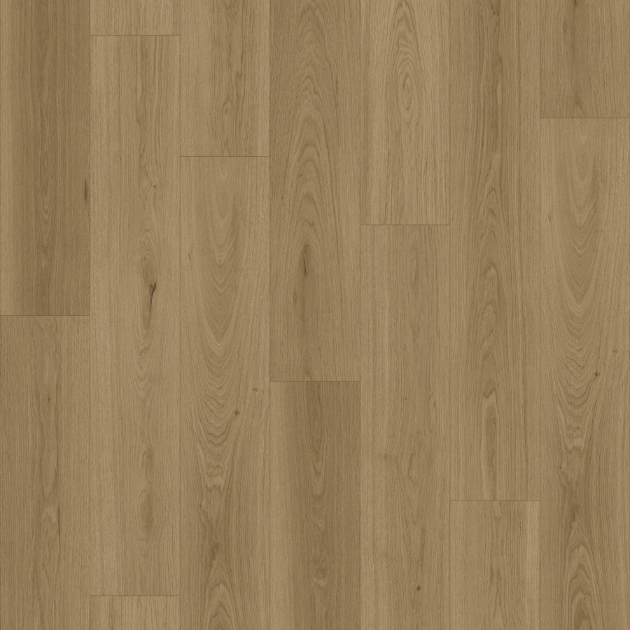 LAM.QUE12.175 ROSENEATH 8127 9 1215x195 435fe0ec 1fe6 47e1 90f0 c2b32682c618 2048x crop center