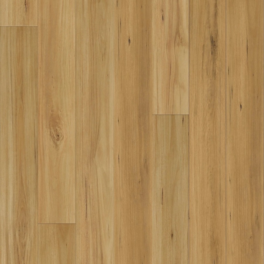 LAM.QUE12.245 BLACKBUTT ND08016 9 2 2048x crop center