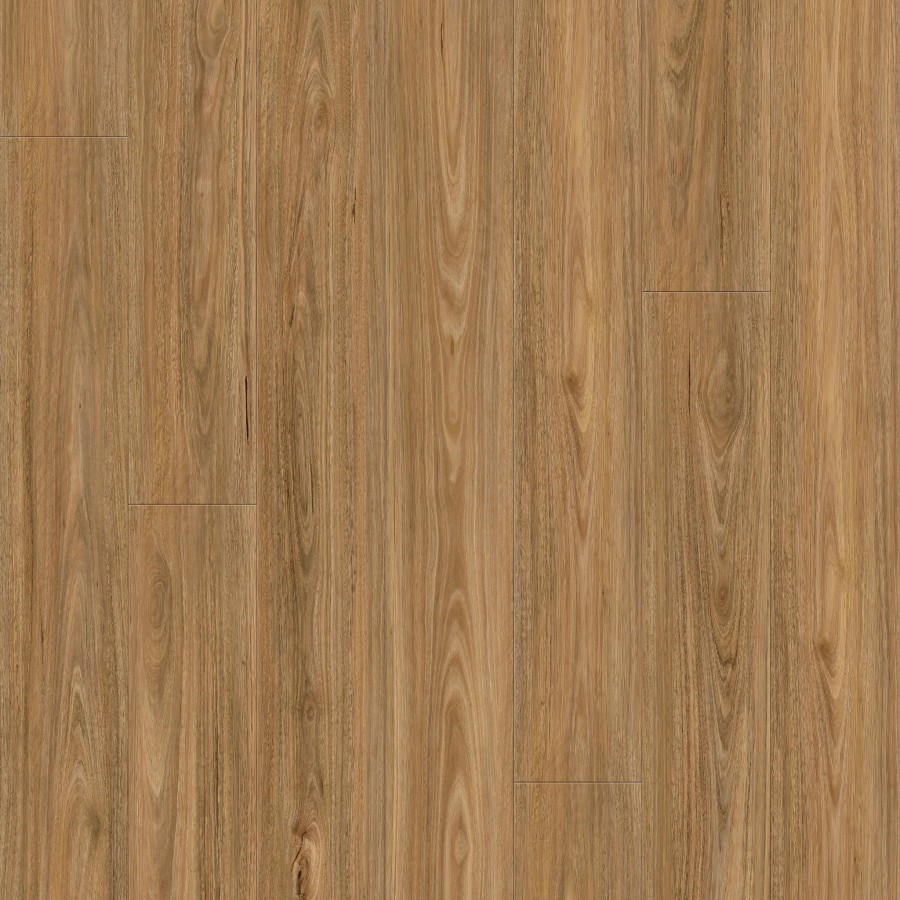 LAM.QUE12.350 SPOTTEDGUM ND08018 10 2 2048x crop center