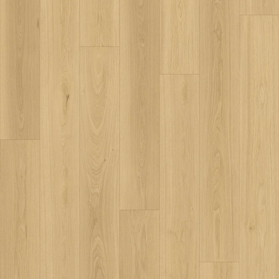 LAM.QUE15.135 SANDYPOINT 8127 4 1515x195 3c5b549d 84c6 4d78 ae8a 33203c31fd1b 2048x crop center