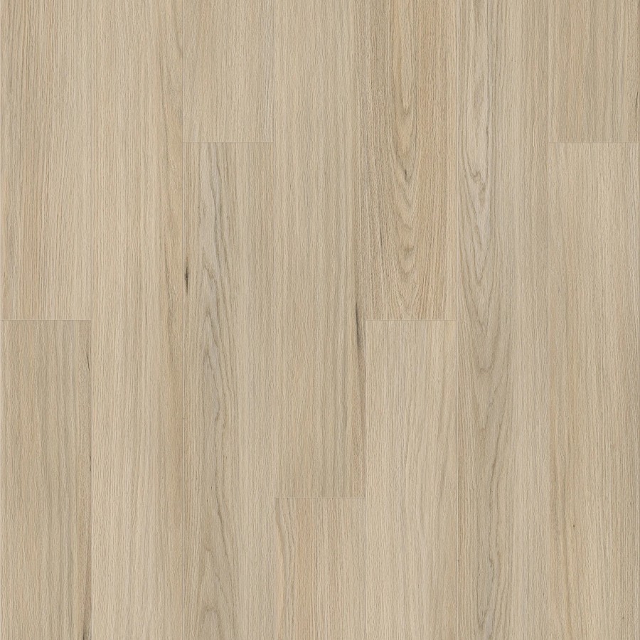 LAM.QUE15.155 NEWTOWN MY190039XL 2 1515x195 bea88fea d3c7 49d7 8f5a 7730a584821d 2048x crop center