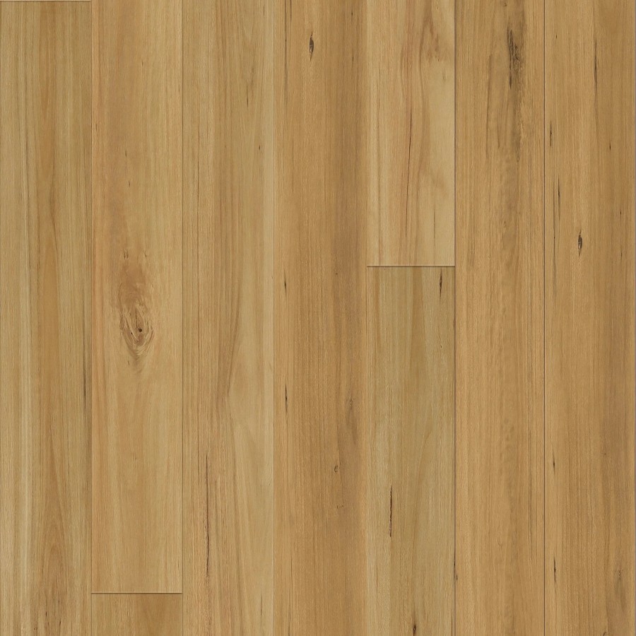 LAM.QUE15.245 BLACKBUTT ND08016 9 2 2048x crop center