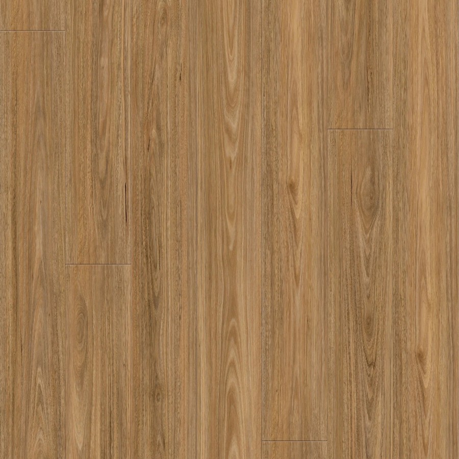 LAM.QUE15.350 SPOTTEDGUM ND08018 10 2 2048x crop center