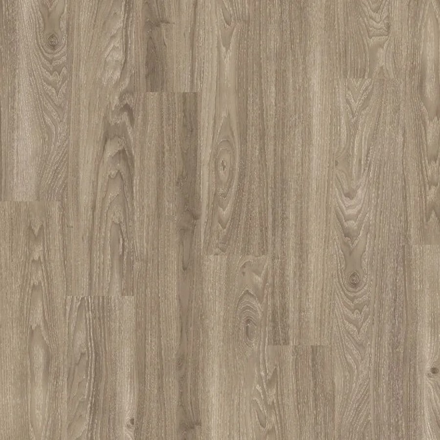 Light Elm 1x1m