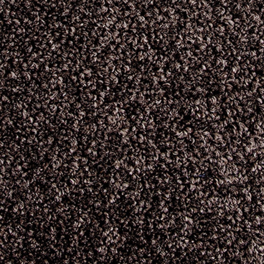 Lush Forest Night small