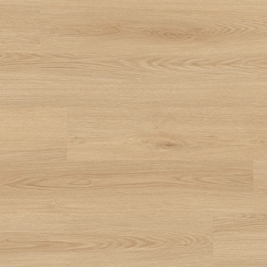 Luxe Grain Ghost Gum Installation