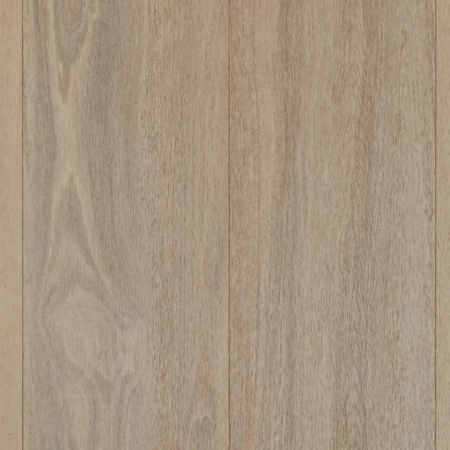 Mallee Spotted Gum