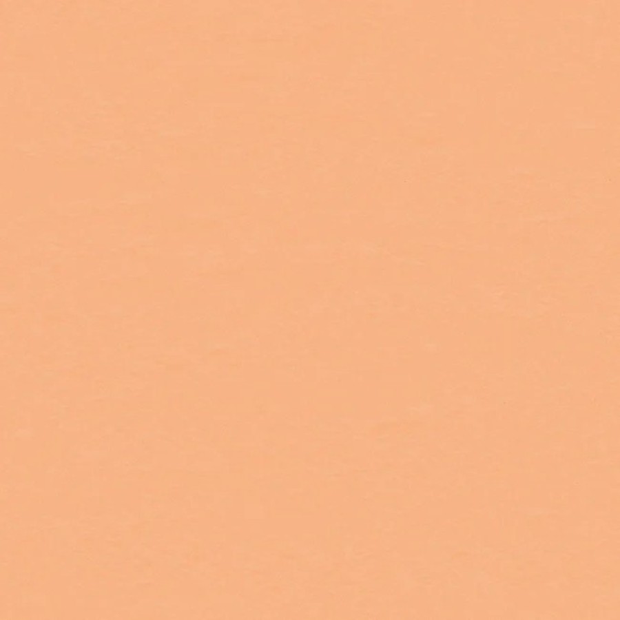 Melon 051