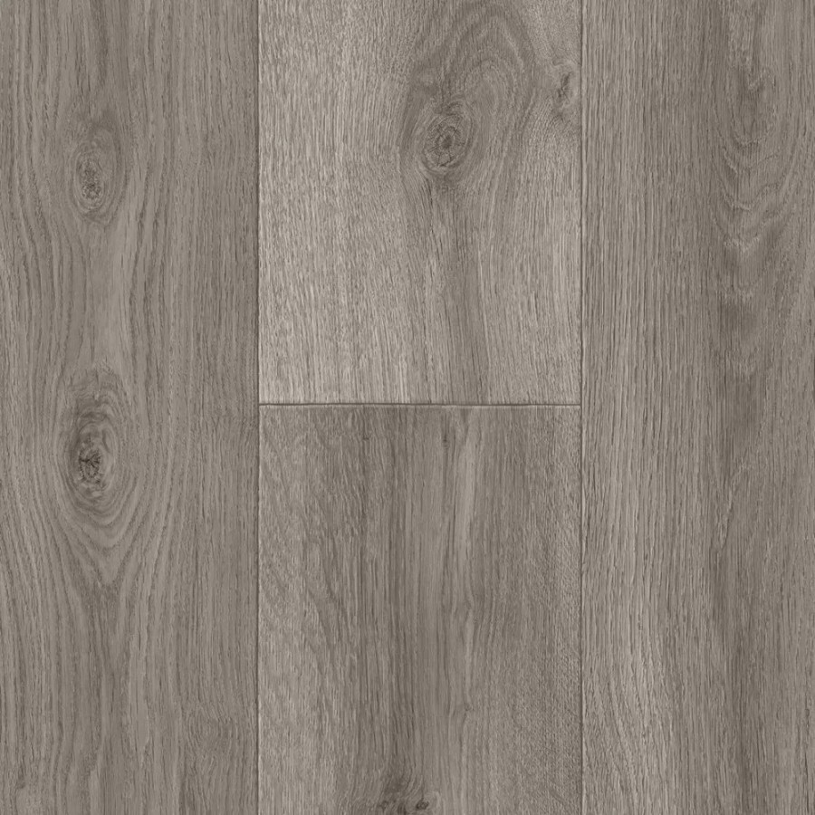 NOLA 95 v2 ScaleMaxWidthWzEwMDBd