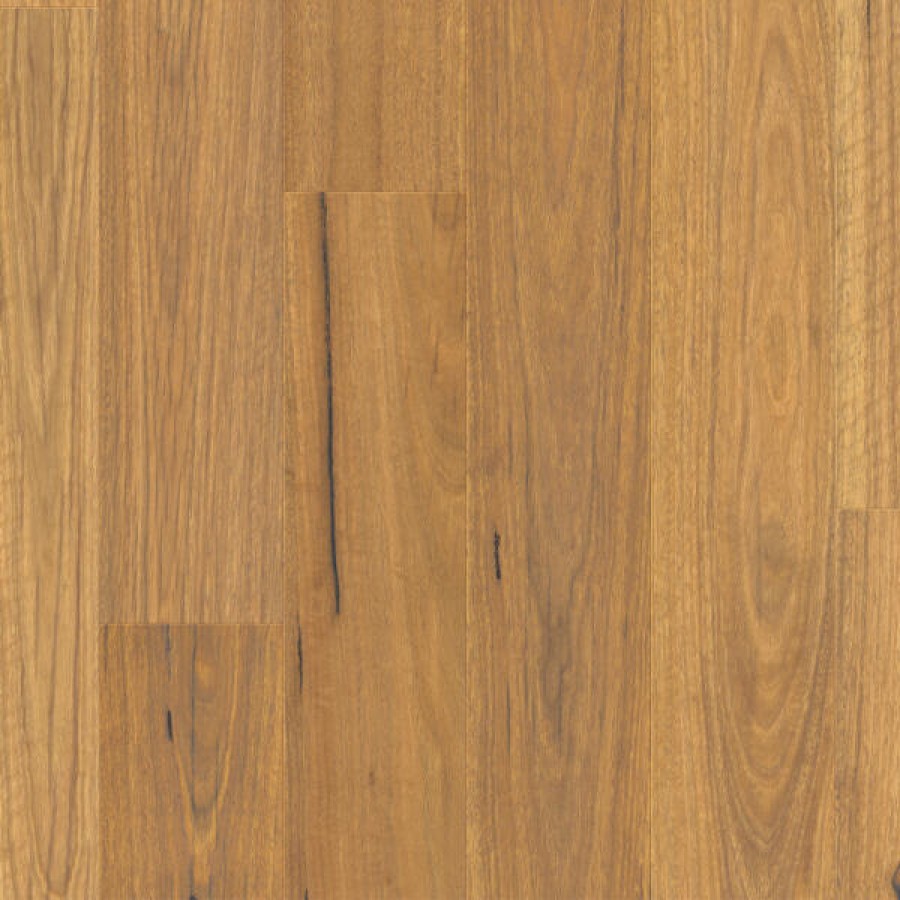 Natural Spotted Gum v2