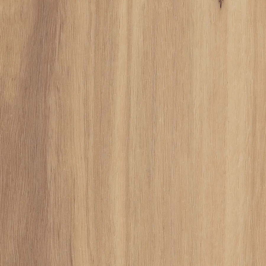 New England BlackButt