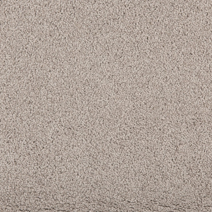 New Sensations 51 Autmn scaled 1