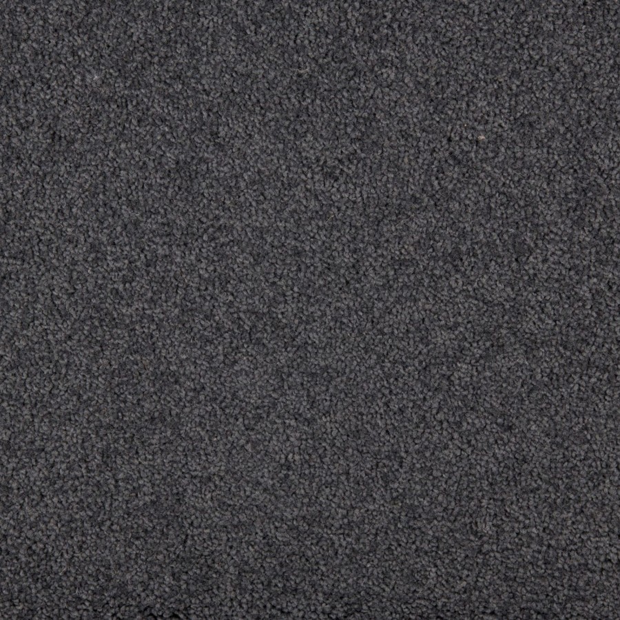 New Sensations 54 Ocean scaled 1