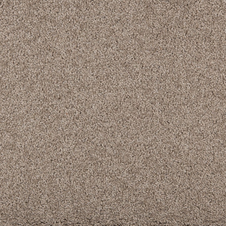 New Sensations 78 Chocolate scaled 1