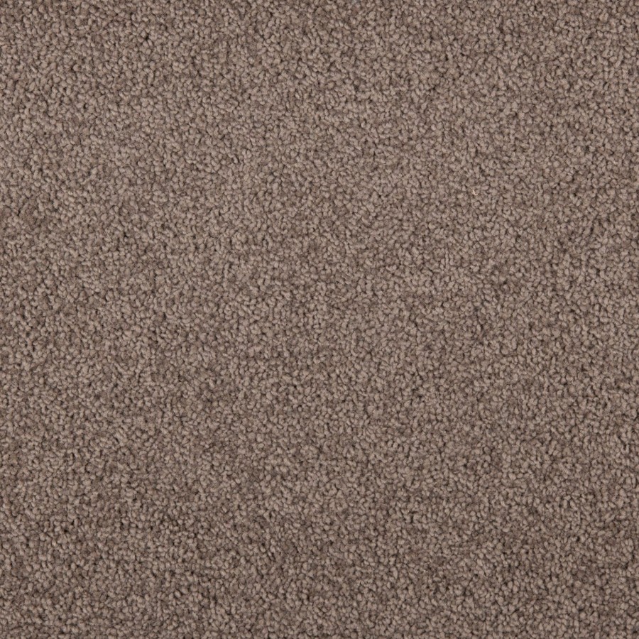 New Sensations 79 Dawn scaled 1