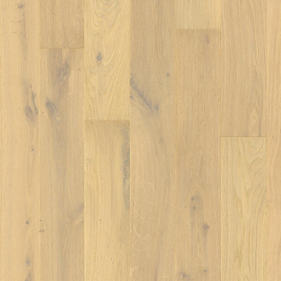 Northern oak