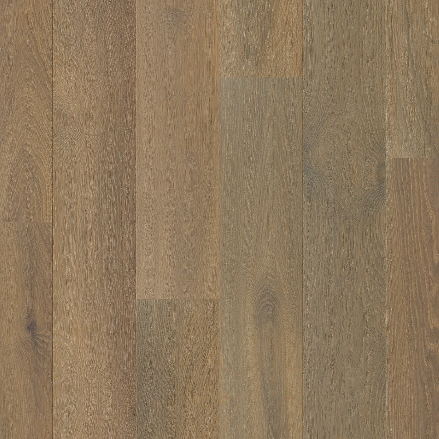 Parchment Oak