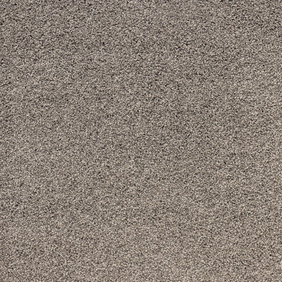 Raw Umber 556