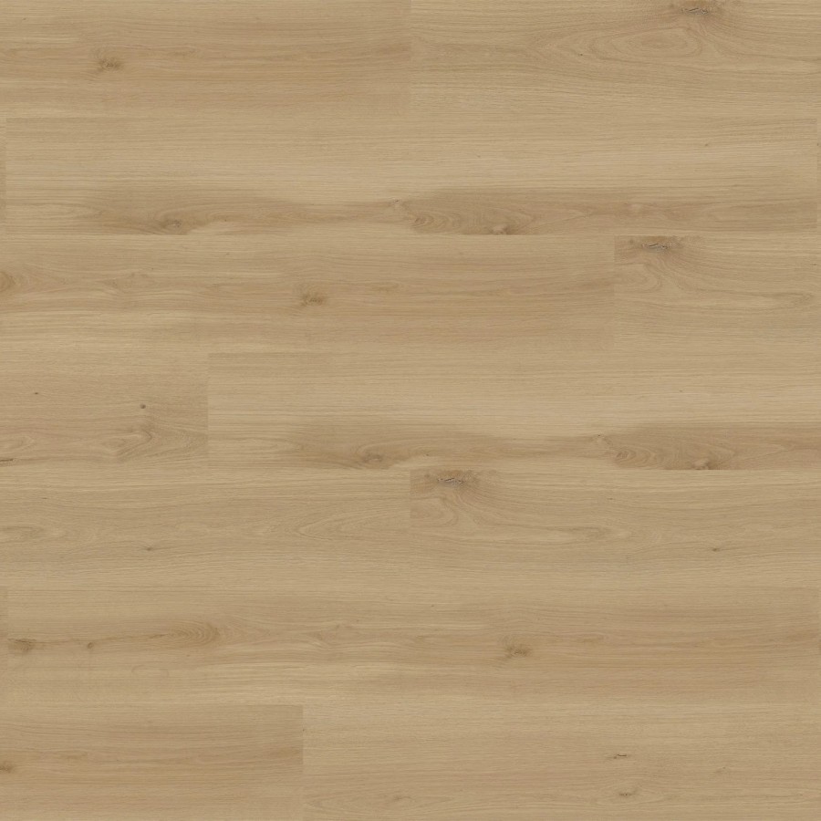 Rewind European Oak
