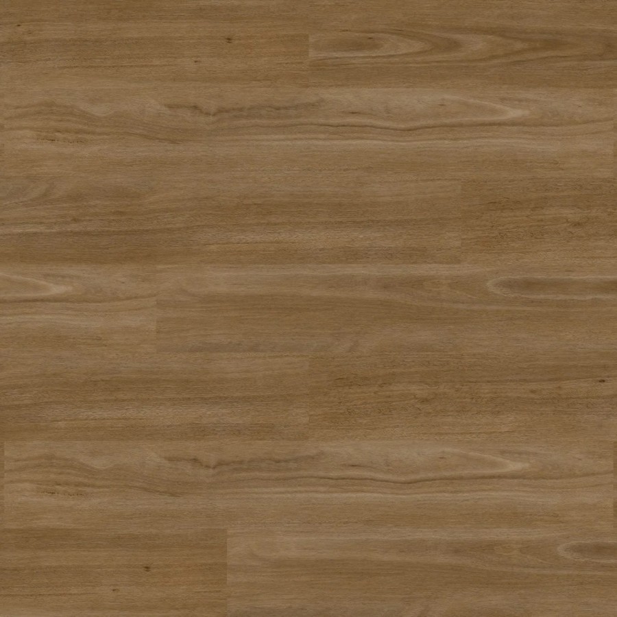 Rewind Mocha Spotted Gum