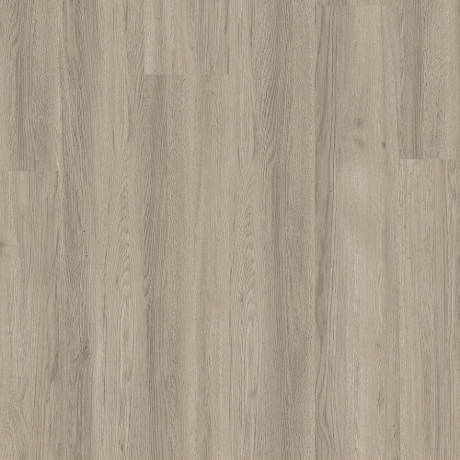 Silver Grey Ash