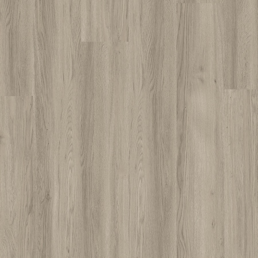 Silver Grey Ash