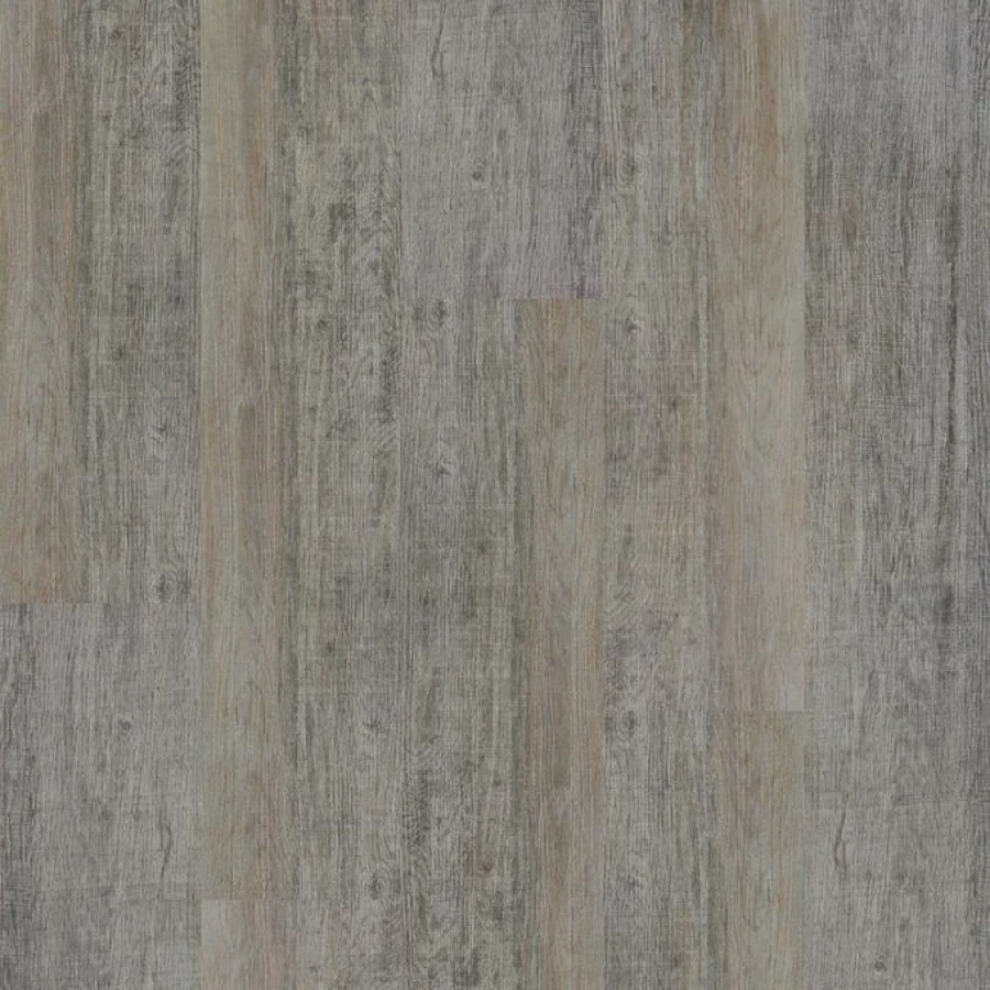 Silvered Driftwood
